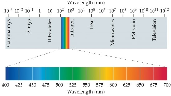 Refer to the figure.   The top part of the figure shows the A)  spectrum of visible light. B)  different kinds of light. C)  amount of heat emitted by a light source. D)  number of photons emitted by a light source. E)  spectrum of electromagnetic energy.