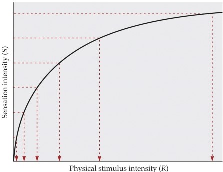 <strong>Refer to the graph.   This graph illustrates</strong> A) Weber's law. B) Berkeley's function. C) Descartes' beliefs. D) Fechner's law. E) Helmholtz's curve. <div style=padding-top: 35px> 
