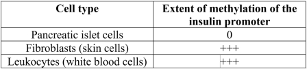 Islet cells in the pancreas are the only cells in the human body that produce the hormone insulin. The table below compares the extent of methylation within the promoter region upstream of the gene encoding the insulin protein in three types of human cells. The results provide an example illustrating that methylation of DNA is correlated with transcriptional _______.