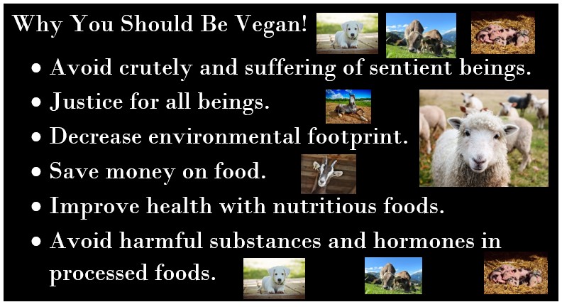 In this essay, refer to the slide below. First, explain why the slide is not designed appropriately. Next, describe what changes you would make to increase the effectiveness of the slide if used in a presentation.   