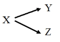 Refer to the figure.   According to the theoretical model, A)  the inferred causal relationship between Y and Z is weak. B)  X is an intervening variable. C)  X affects Y and Z, but there is no causal relationship between Y and Z. D)  Y and Z are independent of X.