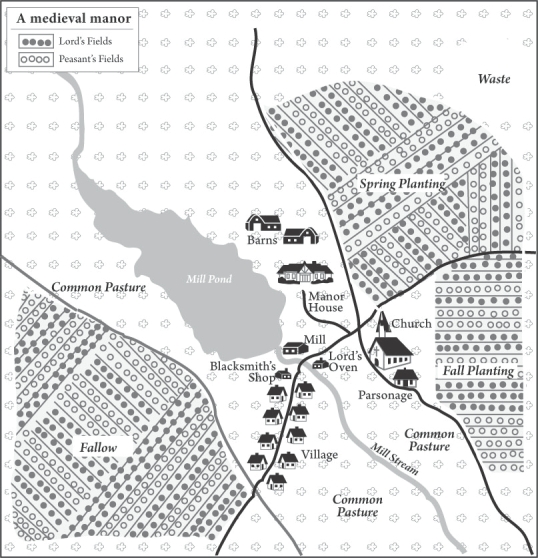  Which term best describes life as depicted in this image? A)  Mutable B)  Disorganized C)  Communal D)  Independent