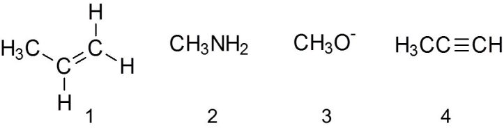 Which of the following are nucleophiles?   A)  1 B)  2 C)  3 D)  4 E)  all of the above