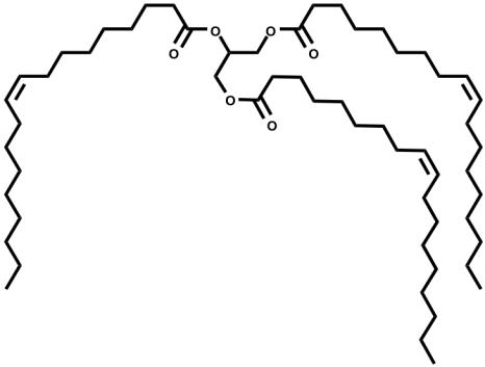 Which of the following best describes the compound shown here?   A)  an unsaturated fat B)  a saturated fat C)  an oil D)  a triacylglycerol E)  C and D