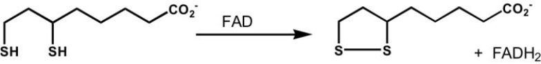 What enzyme catalyzes the following reaction?   A)  succinate dehydrogenase B)  dihydrolipoyl dehydrogenase C)  thiol dehydrogenase D)  amino acid oxidase E)  FADH<sub>2</sub> dehydrogenase