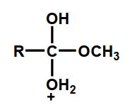 Which of the following is an intermediate in the acid-catalyzed hydrolysis of an ester? A)    B)    C)    D)  Intermediates B and C E)  Intermediates A, B, and C