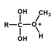 Which of the following is an intermediate in the acid-catalyzed hydrolysis of an ester? A)    B)    C)    D)  Intermediates B and C E)  Intermediates A, B, and C