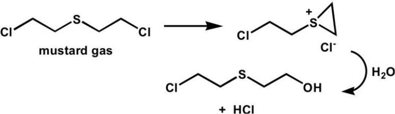 What type of intramolecular catalysis is occurring in the following reaction?   A)  acid B)  base C)  nucleophilic D)  metal ion E)  none of the above