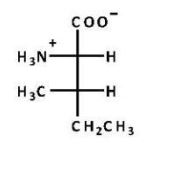 <strong>Which structure is naturally occurring isoleucine, which is(2S,3S)-2-amino-3-methylpentanoic acid?</strong> A)   B)   C)   D)   E) B and C <div style=padding-top: 35px> 