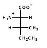 <strong>Which structure is naturally occurring isoleucine, which is(2S,3S)-2-amino-3-methylpentanoic acid?</strong> A)   B)   C)   D)   E) B and C <div style=padding-top: 35px> 
