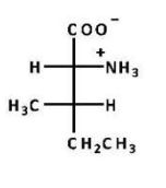 <strong>Which structure is naturally occurring isoleucine, which is(2S,3S)-2-amino-3-methylpentanoic acid?</strong> A)   B)   C)   D)   E) B and C <div style=padding-top: 35px> 