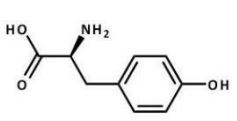 <strong>Which structure does tyrosine have at pH 7.3?</strong> A)   B)   C)   D)   E)   <div style=padding-top: 35px> 