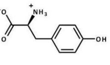 <strong>Which structure does tyrosine have at pH 7.3?</strong> A)   B)   C)   D)   E)   <div style=padding-top: 35px> 
