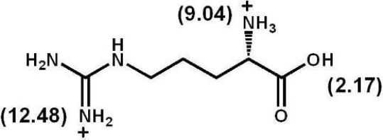 What is the isoelectric point (pI)  of arginine?   A)  2.17 B)  7.90 C)  9.04 D)  10.76 E)  12.48
