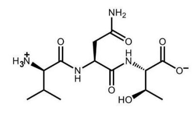 What is the name of this tripeptide?   A)  Val-Asn-Thr B)  Leu-Asn-Ser C)  Val-Gln-Thr D)  Leu-Gln-Thr E)  Val-Asn-Thr valine <sub>threonine</sub> asparagine
