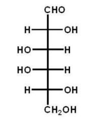 Which of the following carbohydrates is D-glucose? A)    B)    C)    D)    E)   