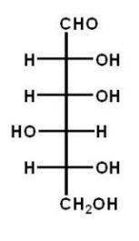 Which of the following carbohydrates is D-glucose? A)    B)    C)    D)    E)   