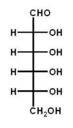 Which of the following carbohydrates is D-glucose? A)    B)    C)    D)    E)   