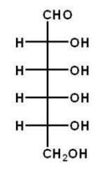 Which of the following carbohydrates is D-glucose? A)    B)    C)    D)    E)   