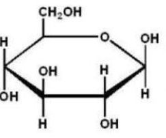 Which of the following Haworth projections is ?-D-glucose? A)    B)    C)    D)    E)   