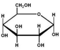 Which of the following Haworth projections is ?-D-glucose? A)    B)    C)    D)    E)   