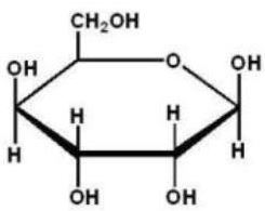 Which of the following Haworth projections is ?-D-glucose? A)    B)    C)    D)    E)   