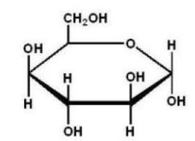 Which of the following Haworth projections is ?-D-glucose? A)    B)    C)    D)    E)   