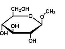 Which of the following is a reducing sugar? A)    B)    C)    D)    E)  all of the above