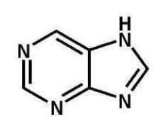 Which of the following heterocyclic amines is pyrimidine? A)    B)    C)    D)    E)   