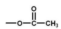 <strong>Which of the following activates a benzene ring toward electrophilic aromatic substitution?</strong> A)   B)   C)   D)   E)   <div style=padding-top: 35px> 