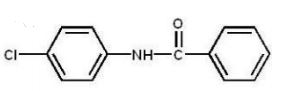 <strong>Which compound is the major product of the following reaction?  </strong> A)   B)   C)   D)   E)   <div style=padding-top: 35px> 