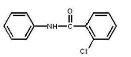 <strong>Which compound is the major product of the following reaction?  </strong> A)   B)   C)   D)   E)   <div style=padding-top: 35px> 