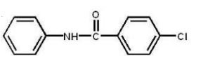 <strong>Which compound is the major product of the following reaction?  </strong> A)   B)   C)   D)   E)   <div style=padding-top: 35px> 