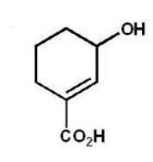 <strong>What is the major product of the following reaction?  </strong> A)   B)   C)   D)   E)   <div style=padding-top: 35px> 