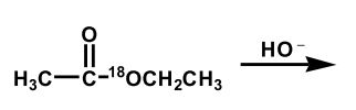 Upon aqueous hydrolysis of <sup>18</sup>O-labeled ethyl acetate, which oxygen(s)  will be labeled in the final reaction mixture after mild acidification?   A)    B)    C)    D)    E)   