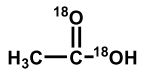 <strong>Upon aqueous hydrolysis of <sup>18</sup>O-labeled ethyl acetate, which oxygen(s) will be labeled in the final reaction mixture after mild acidification? </strong> A) B) C) D) E)