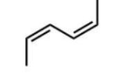 <strong>Which diene will react most readily with a dienophile?</strong> A)   B)   C)   D)   E)   <div style=padding-top: 35px> 