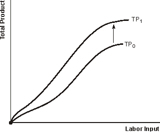 Figure 4.1 Total Product Curves    -Refer to Figure 4.1. The shift in the total product curve represents an increase in the firm's A)  costs of production B)  productivity C)  diseconomies of scale D)  market share