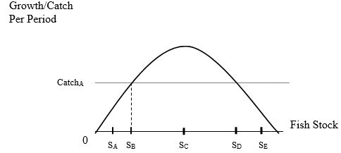  -Consider a fishery with annual growth as shown by the curved line in the figure. For each of the five possible starting stock levels, indicate what the fish stock level would be in the long run (that is, after many periods) if there were a continued annual catch of Catch<sub>A</sub>. S<sub>A</sub> : , S<sub>B</sub> : , S<sub>C</sub> : , S<sub>D</sub> : , S<sub>E</sub> :