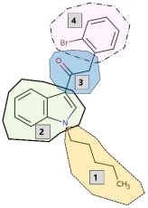 Given the following structure of a synthetic cannabinoid:   Which area is the linked group? A)  1 B)  2 C)  3 D)  4