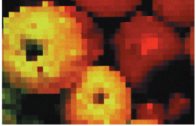 Which one of the digital effects shown above is named  Kurl with Ripple ? A)    B)    C)    D)    E)   