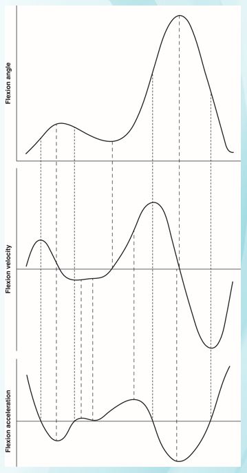 Figure A4.5    -Considering the knee flexion (top) graph in Figure A4.5, the knee flexes three times