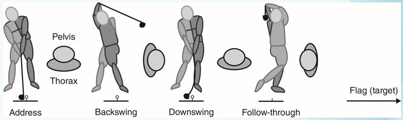 Using Fig. F7.1 and Fig F7.2, describe some of the key differences between the classic and modern golf swings and discuss what attributes of the modern swing are most likely to contribute to the higher rate of golf-related injuries associated with this technique. Fig. F7.1   Fig. F7.2  