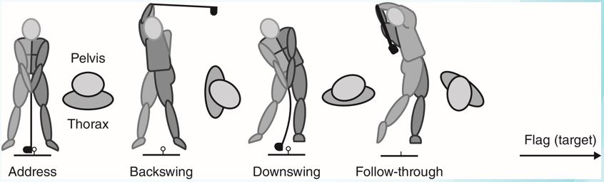 Using Fig. F7.1 and Fig F7.2, describe some of the key differences between the classic and modern golf swings and discuss what attributes of the modern swing are most likely to contribute to the higher rate of golf-related injuries associated with this technique. Fig. F7.1   Fig. F7.2  
