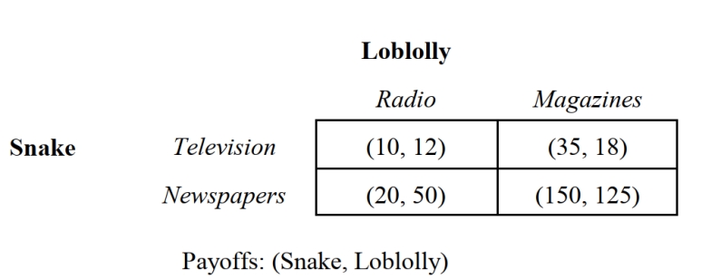   -The Snake River Company and the Loblolly River Company are considering their respective advertising campaigns. Figure 2.9 summarizes the payoffs (in thousands of dollars)  from alternative advertising strategies. If larger payoffs are preferred, what is the Nash equilibrium strategy profile for this game is: A)  {Television, Radio}. B)  {Television, Magazines}. C)  {Newspapers, Radio}. D)  {Newspapers, Magazines}. E)  This game does not have a Nash equilibrium.