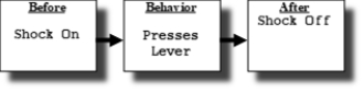 In the diagram below, what is the shock?   A)  Negative reinforcer B)  Negative reinforcement C)  Punisher D)  Neutral stimulus