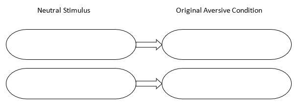 Fill in the empty boxes (yes, nature abhors an empty box). -Diagram the pairing procedure for converting a buzzer into a learned aversive stimulus in the Skinner box.  