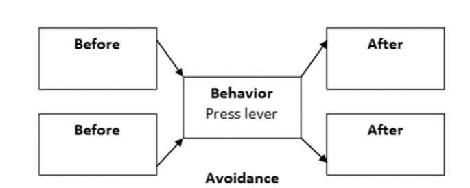 Fill in the empty boxes (yes, nature abhors an empty box). -Diagram an example of cued avoidance in the Skinner box.   