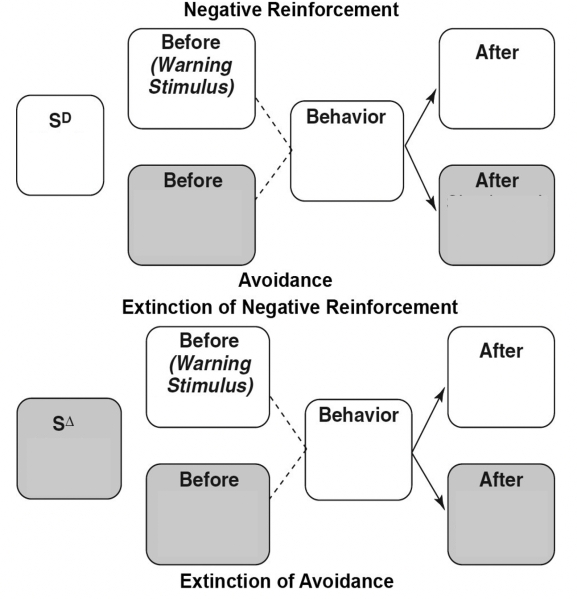 Fill in the empty boxes (yes, nature abhors an empty box). -Diagram a contingency for cued avoidance with an S<sup>D</sup> and S<sup>∆</sup>.   