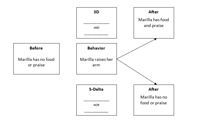 Fill in the empty boxes for -Diagram the stimulus-discrimination training contingency for establishing imitation for a child (Marilla) who previously showed no imitative stimulus control (Baer, Peterson, & Sherman, 1967).   